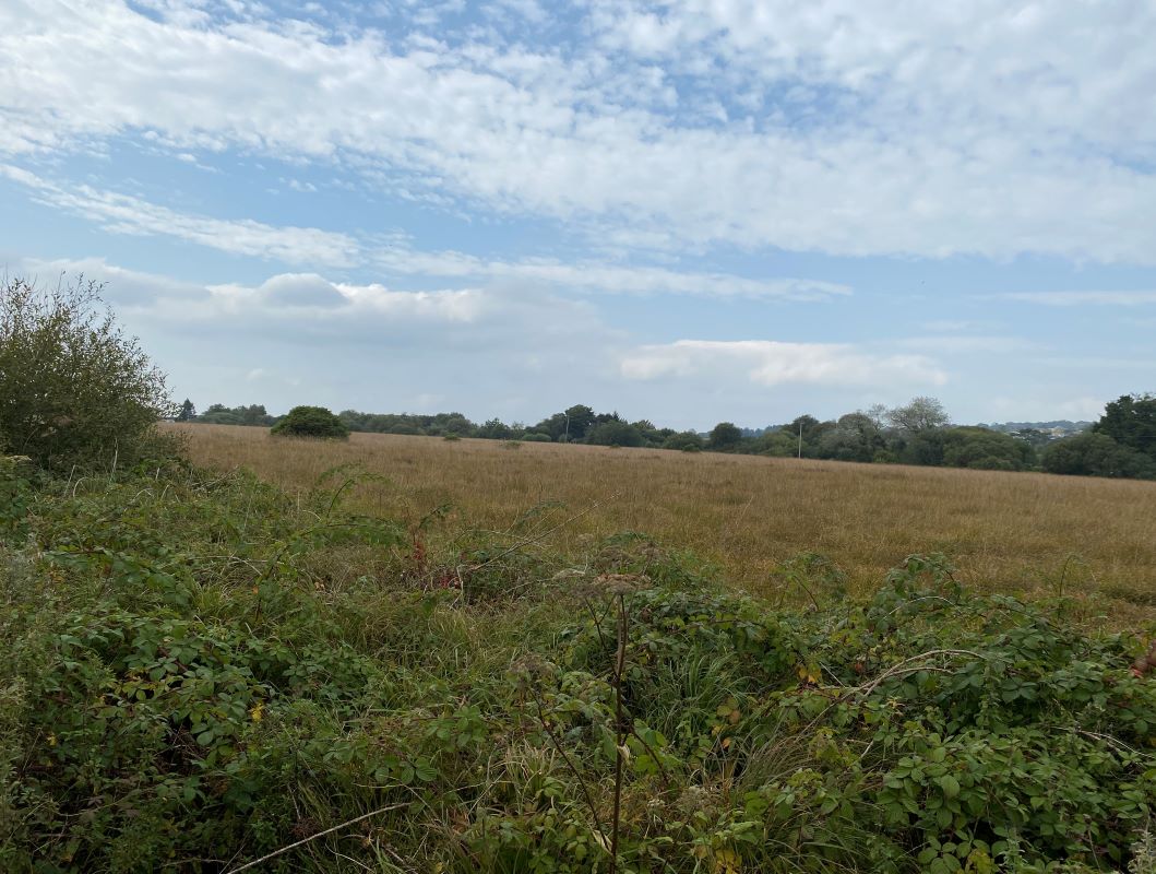 Land off Penygrose Road, Gorslas, SA14 7LA