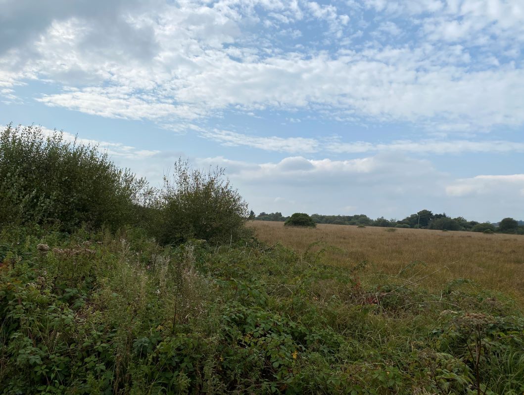 Land off Penygrose Road, Gorslas, SA14 7LA