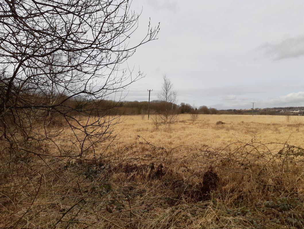 Land off Penygrose Road, Gorslas, SA14 7LA