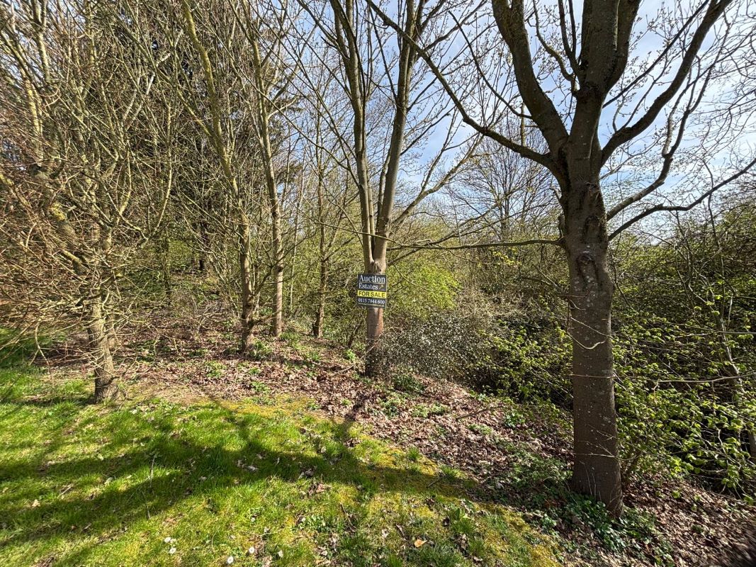 Land lying to the East of Lubbesthorpe Way, Braunstone, Leicester, LE19 1JZ