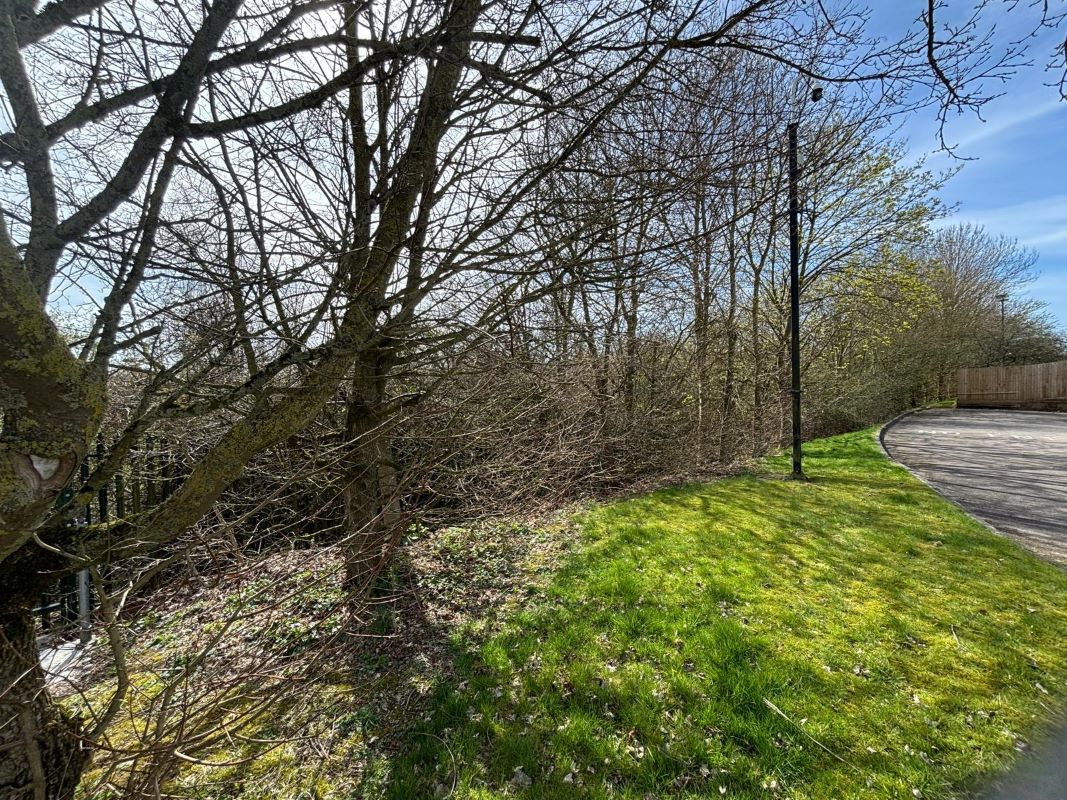 Land lying to the East of Lubbesthorpe Way, Braunstone, Leicester, LE19 1JZ