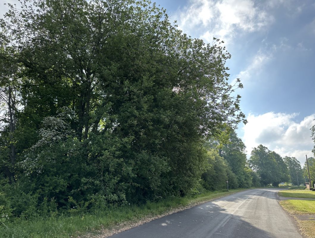 Land off Old Epperstone Road, Epperstone, Lowdham, Nottinghamshire, NG14 7BZ