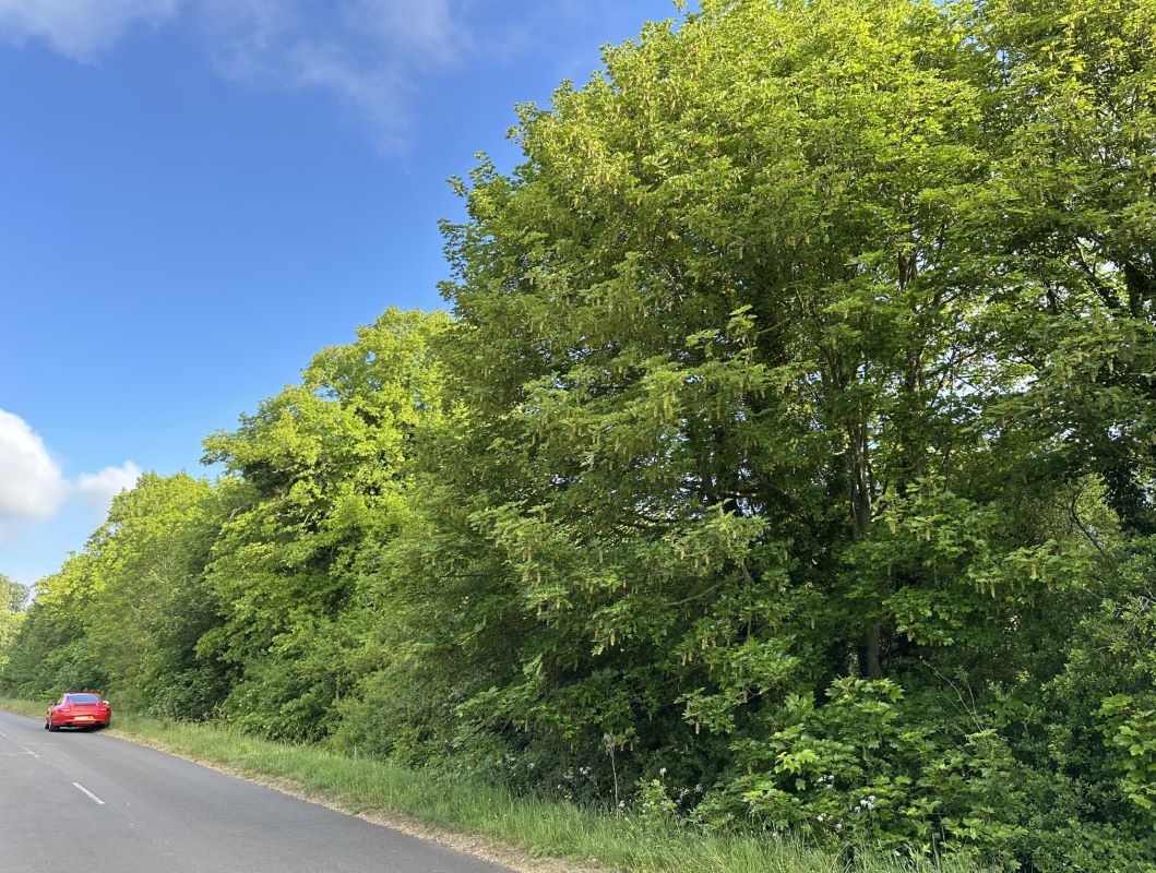 Land off Old Epperstone Road, Epperstone, Lowdham, Nottinghamshire, NG14 7BZ