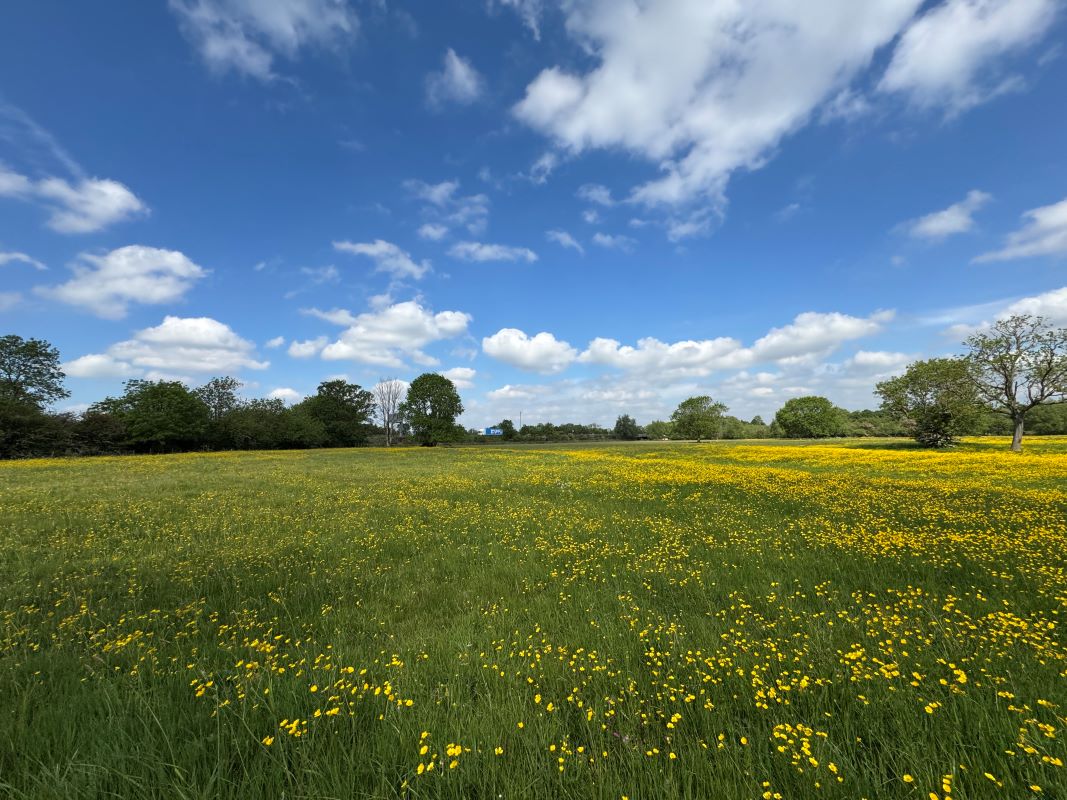 4.8 Acres of land off Wilne Road, Sawley, Nottingham, NG10 3XL
