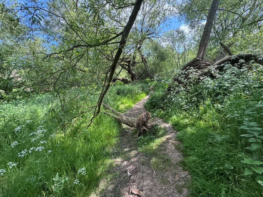 4.2 Acres of land off Wilne Road, Sawley, Nottingham, NG10 3XL