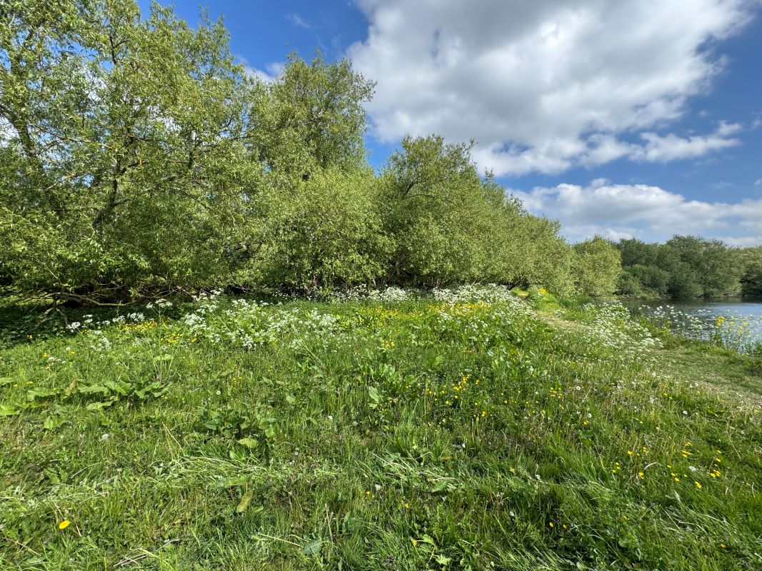 4.2 Acres of land off Wilne Road, Sawley, Nottingham, NG10 3XL