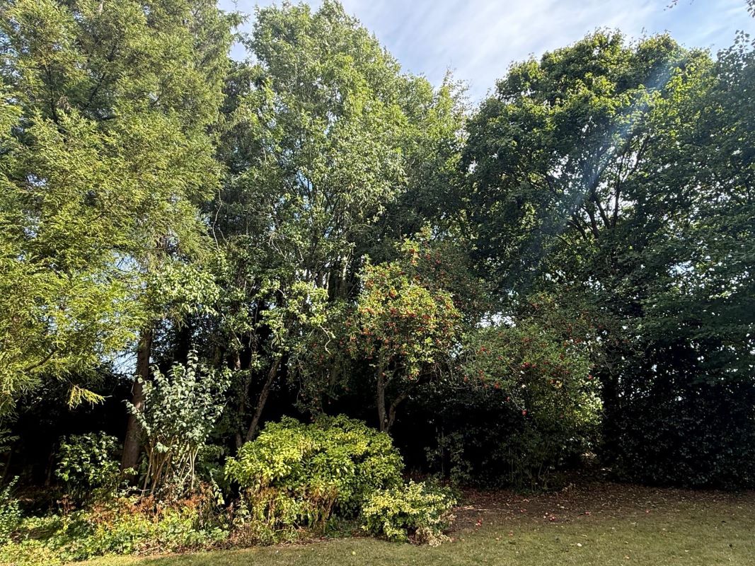 The Firs, Buttery Lane, Teversal, Nottinghamshire, NG17 3JN