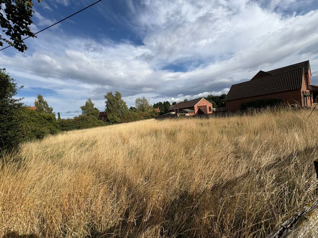 0.55 acre paddock, low road, Besthorpe, Newark, Nottinghamshire, NG23 7HJ