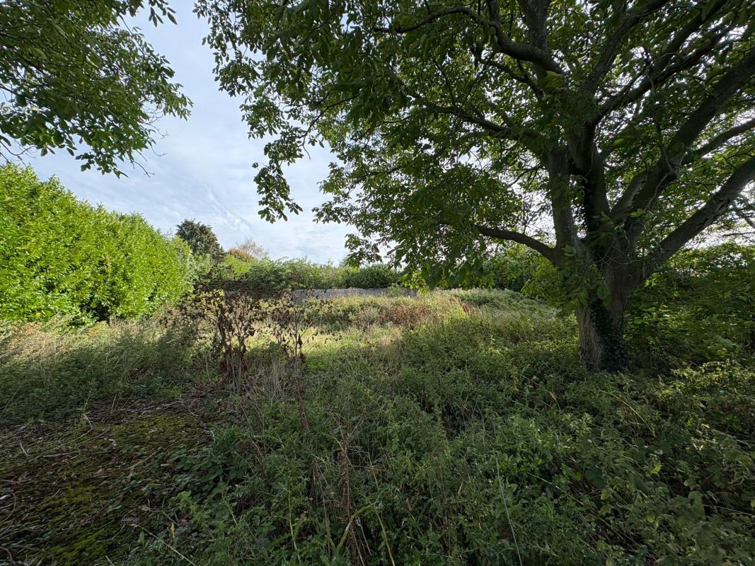 Residential Development, Moor Lane, East Stoke, Newark, NG23 5QD