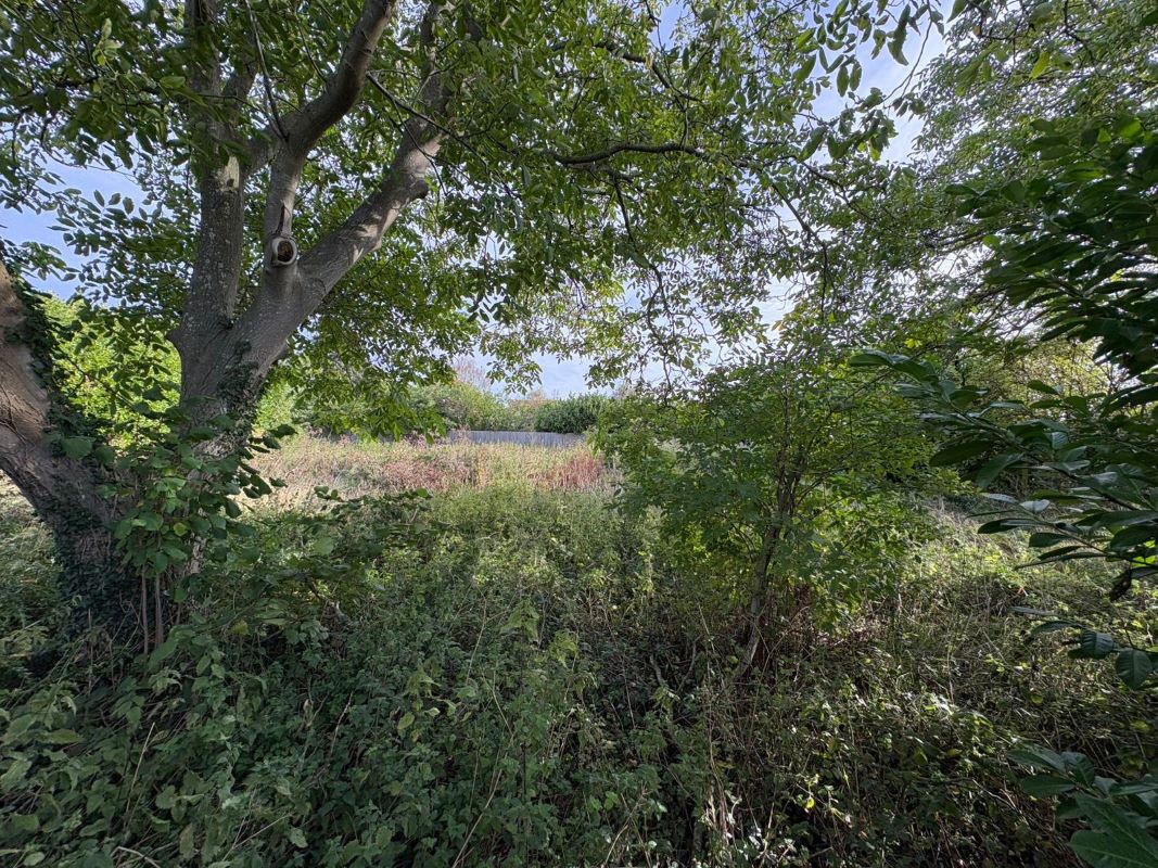 Residential Development, Moor Lane, East Stoke, Newark, NG23 5QD