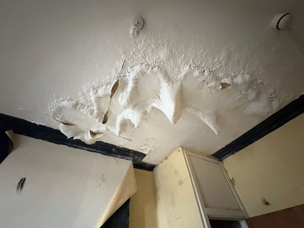 15 Gedling Grove, Nottingham, NG7 4DU