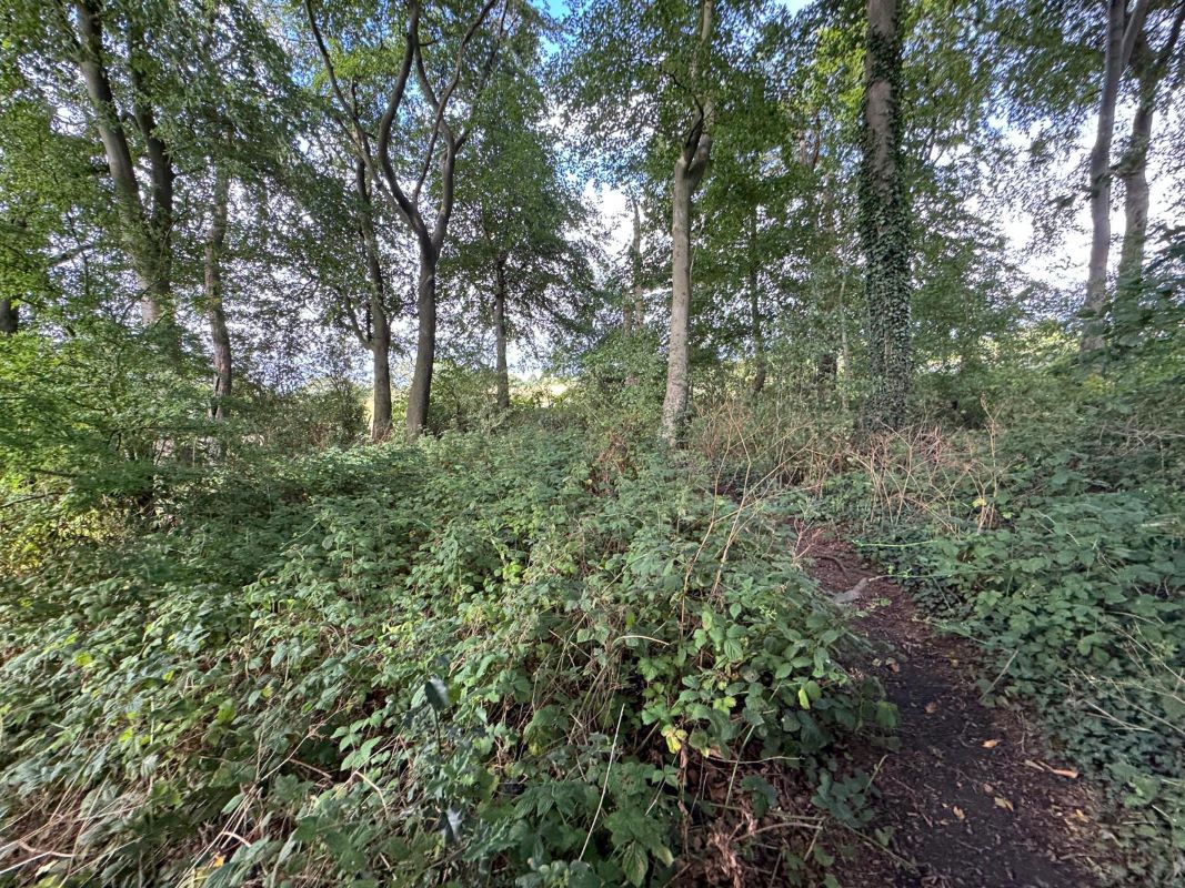 0.44 Acres of Land off Lathkill Drive, South Normanton, Alfreton, Derbyshire, DE55 2BD