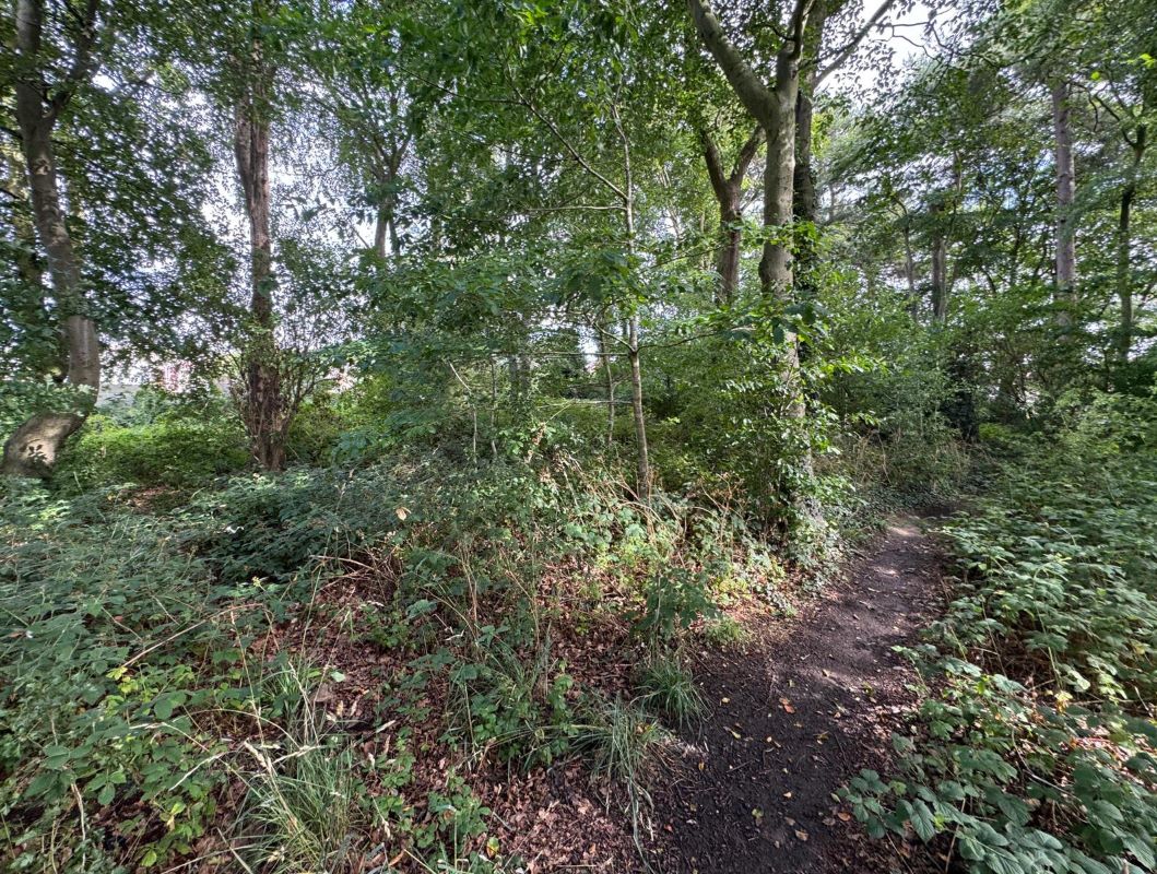 0.44 Acres of Land off Lathkill Drive, South Normanton, Alfreton, Derbyshire, DE55 2BD