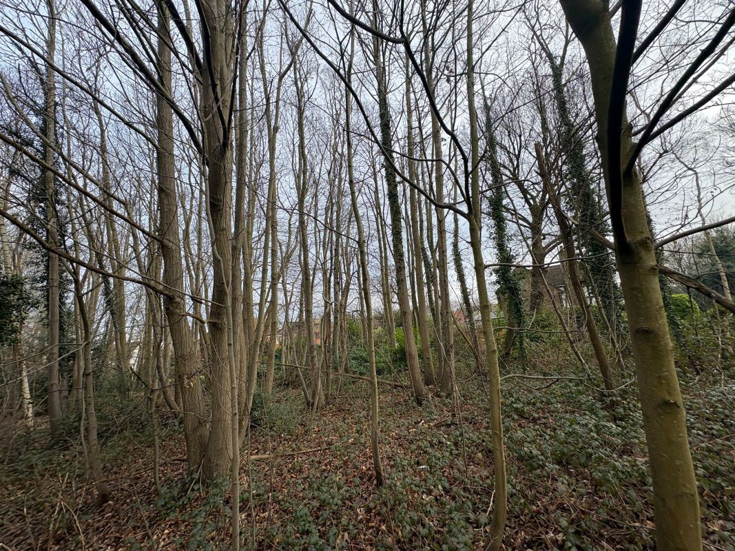 Plot E - Malling Road, West Malling, Kent, ME19 4TJ