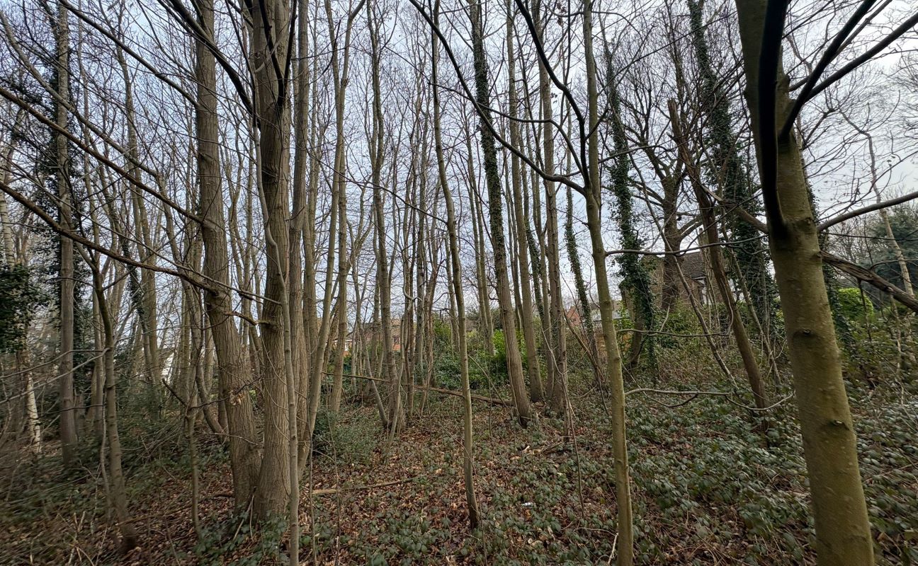 Plot D - Malling Road, West Malling, Kent, ME19 4TJ