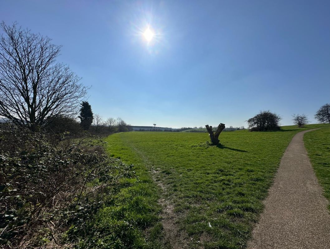 Land to the rear of Thrybergh Hall Road, Rawmarsh, Rotherham, South Yorkshire, S62 5JX