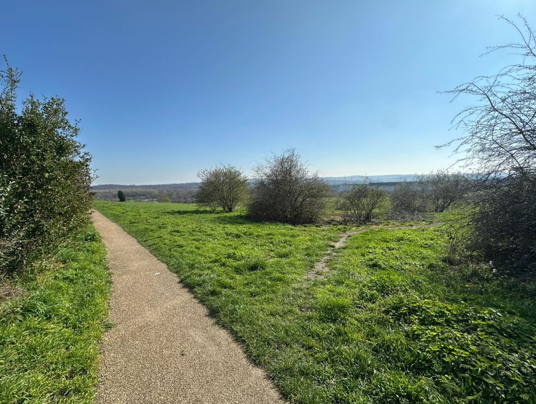 Land to the rear of Thrybergh Hall Road, Rawmarsh, Rotherham, South Yorkshire, S62 5JX