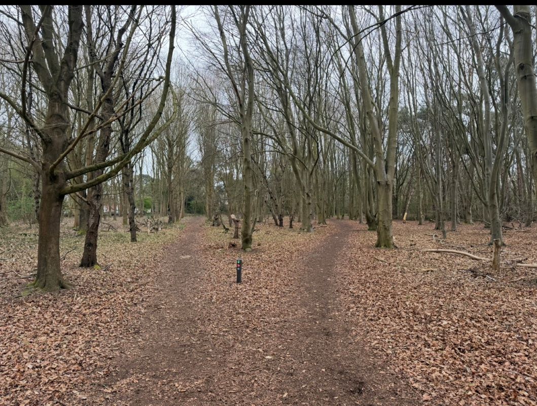 10 Acres of Land off Main Road, Martlesham Heath, Ipswich, Suffolk, IP5 2QU