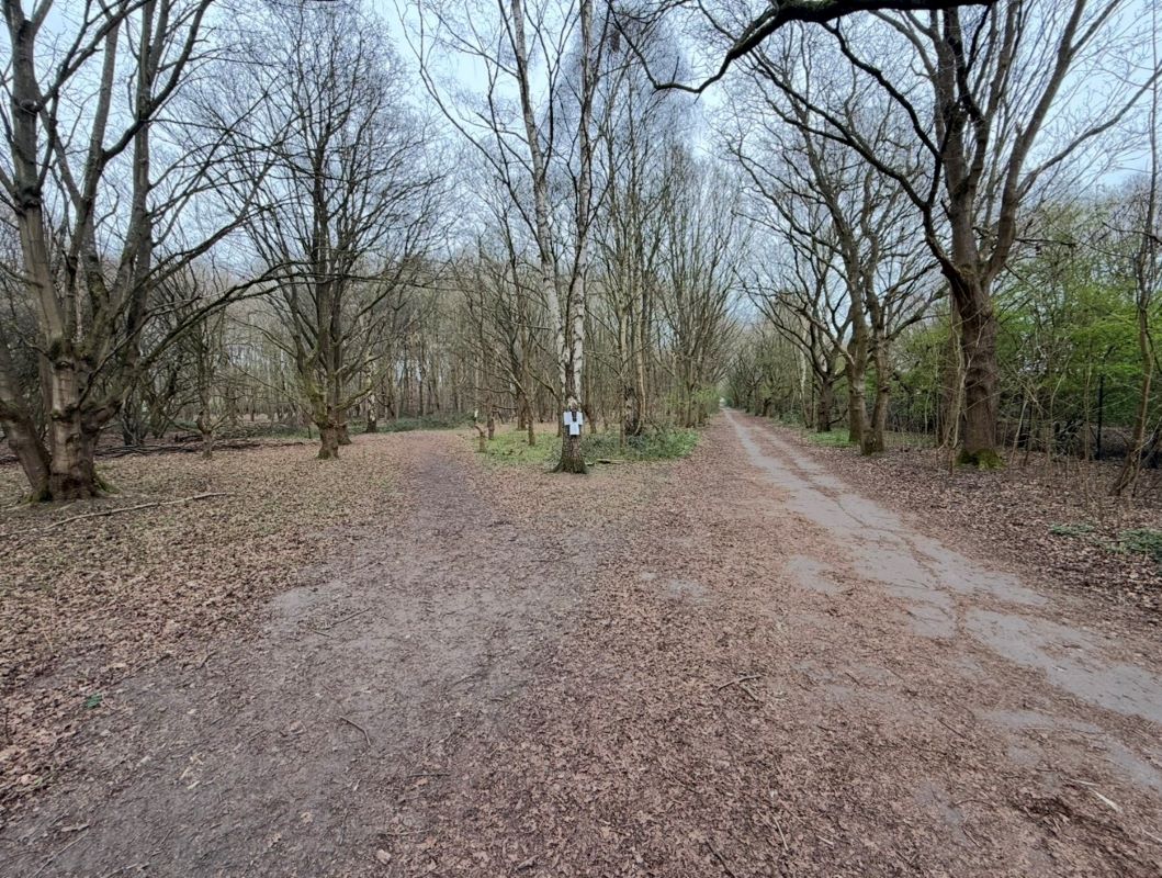 10 Acres of Land off Main Road, Martlesham Heath, Ipswich, Suffolk, IP5 2QU