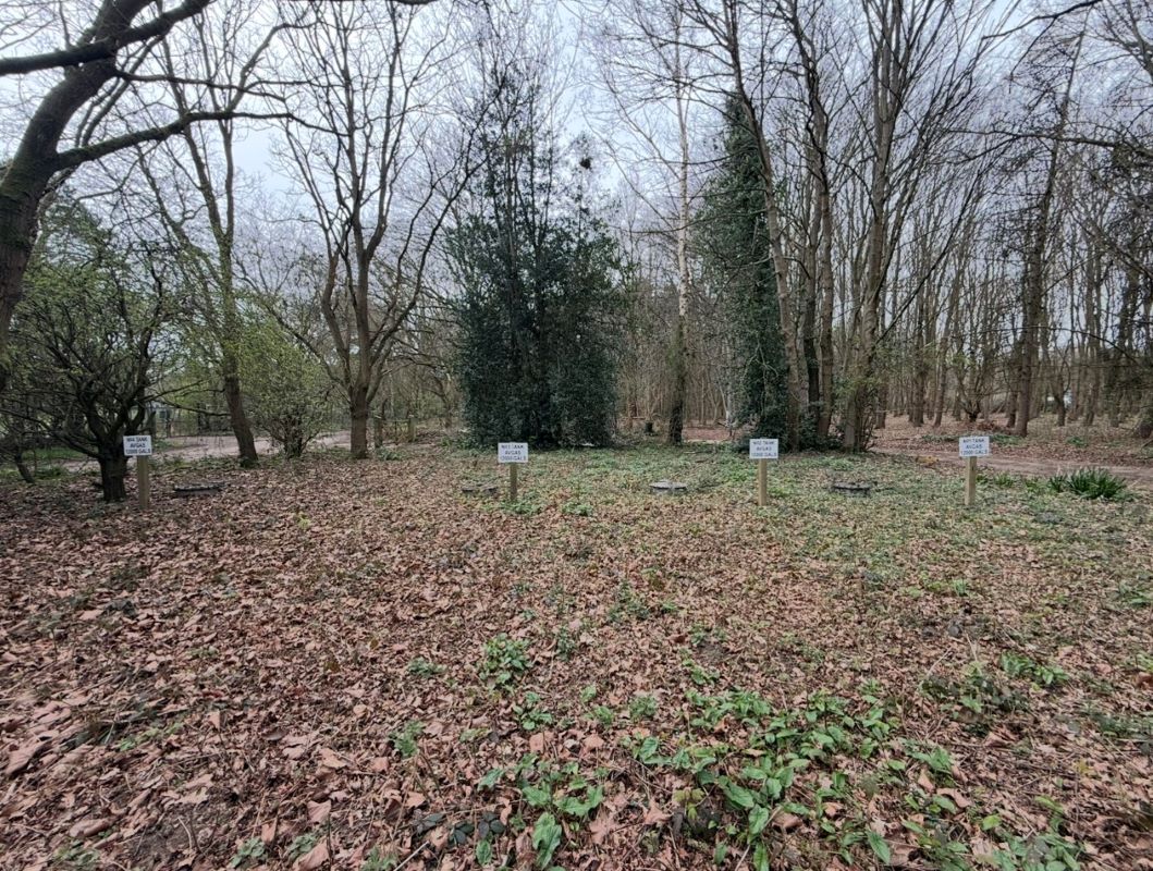 10 Acres of Land off Main Road, Martlesham Heath, Ipswich, Suffolk, IP5 2QU
