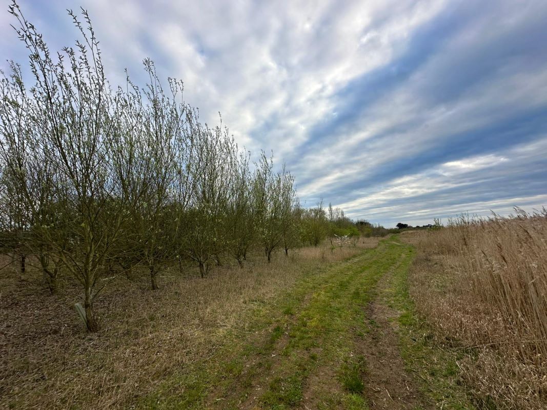 Lake and Land off Trent Lane, Long Eaton, Derbyshire, NG10 2FZ