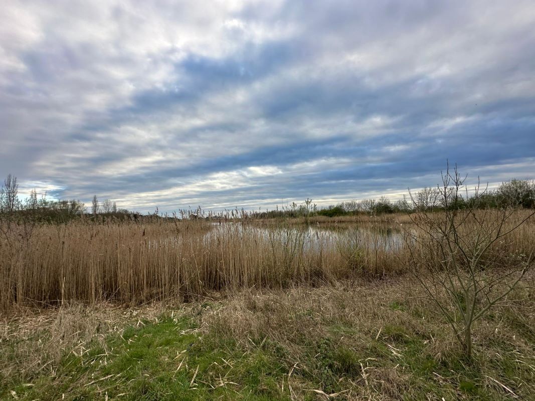 Lake and Land off Trent Lane, Long Eaton, Derbyshire, NG10 2FZ