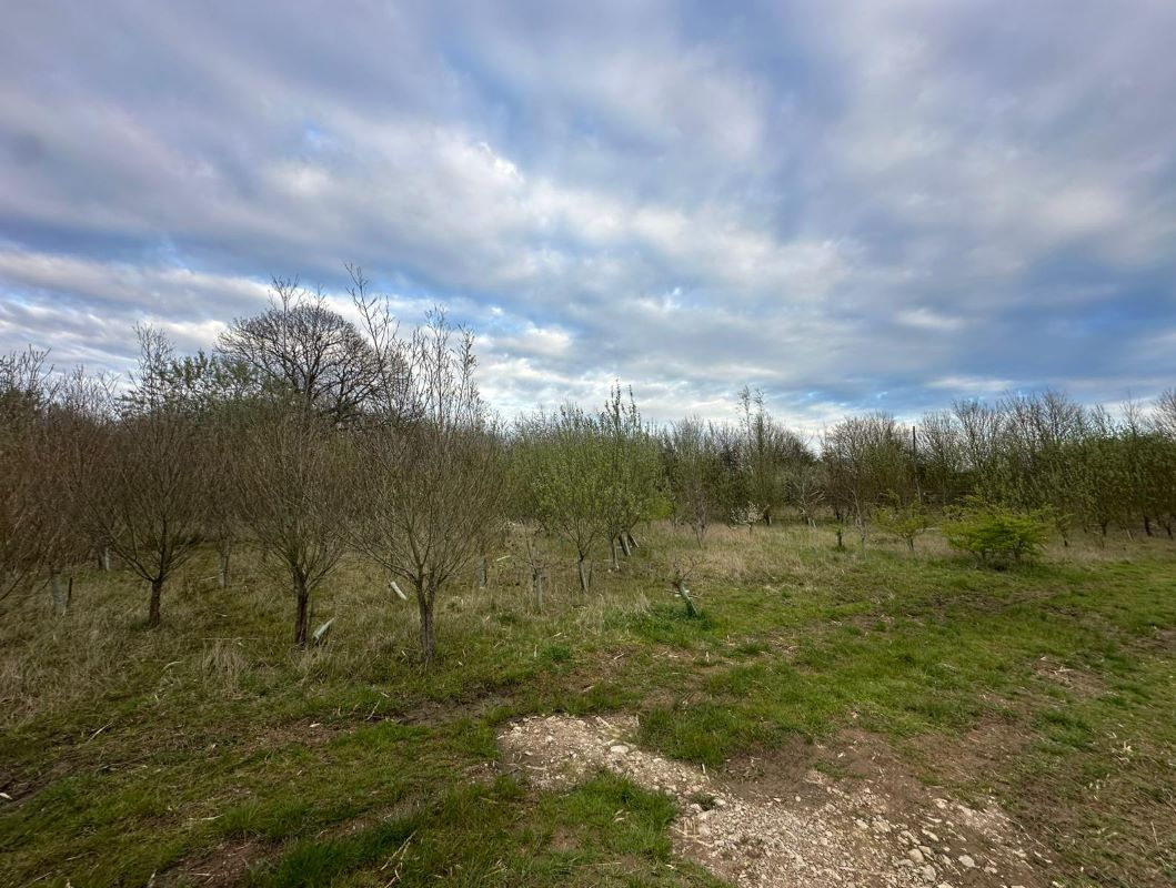 Lake and Land off Trent Lane, Long Eaton, Derbyshire, NG10 2FZ