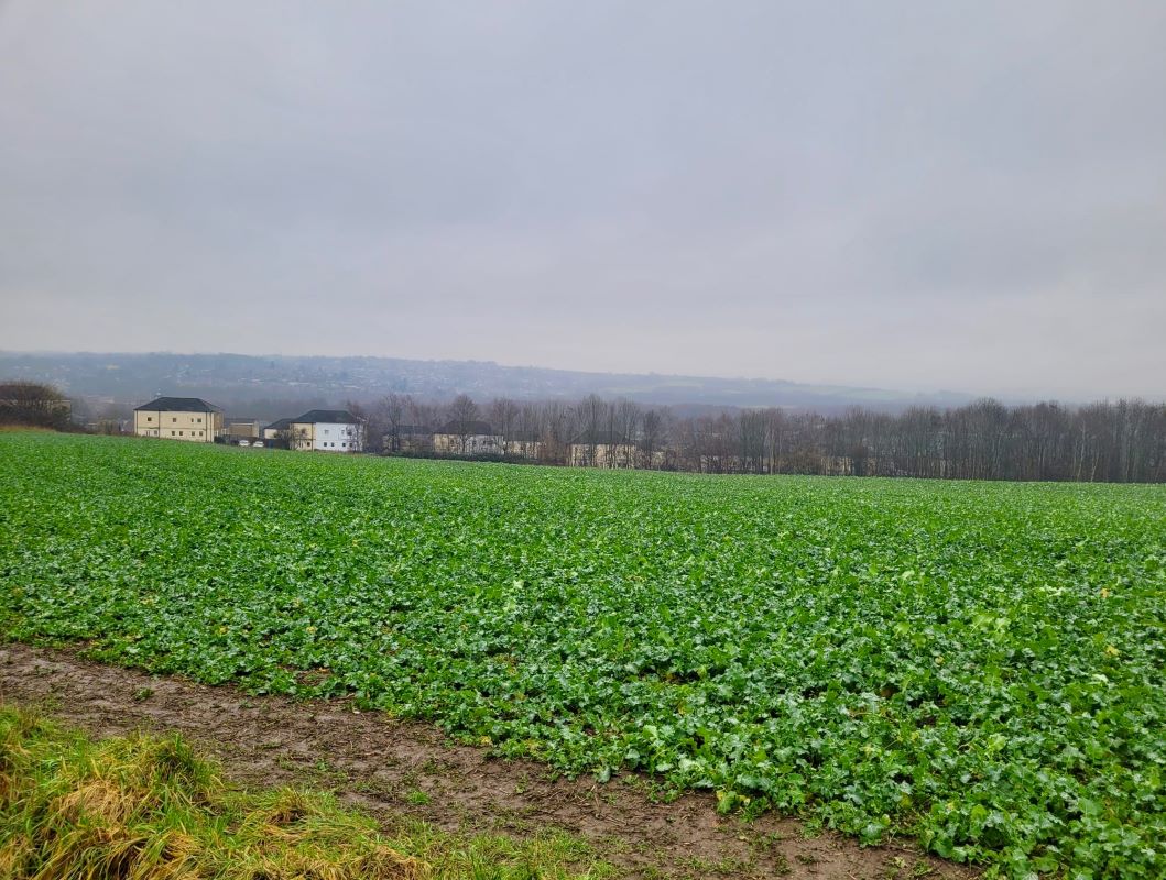 Land At the end of Brooks Road, Barrow Hill, Derbyshire, S43 2NN