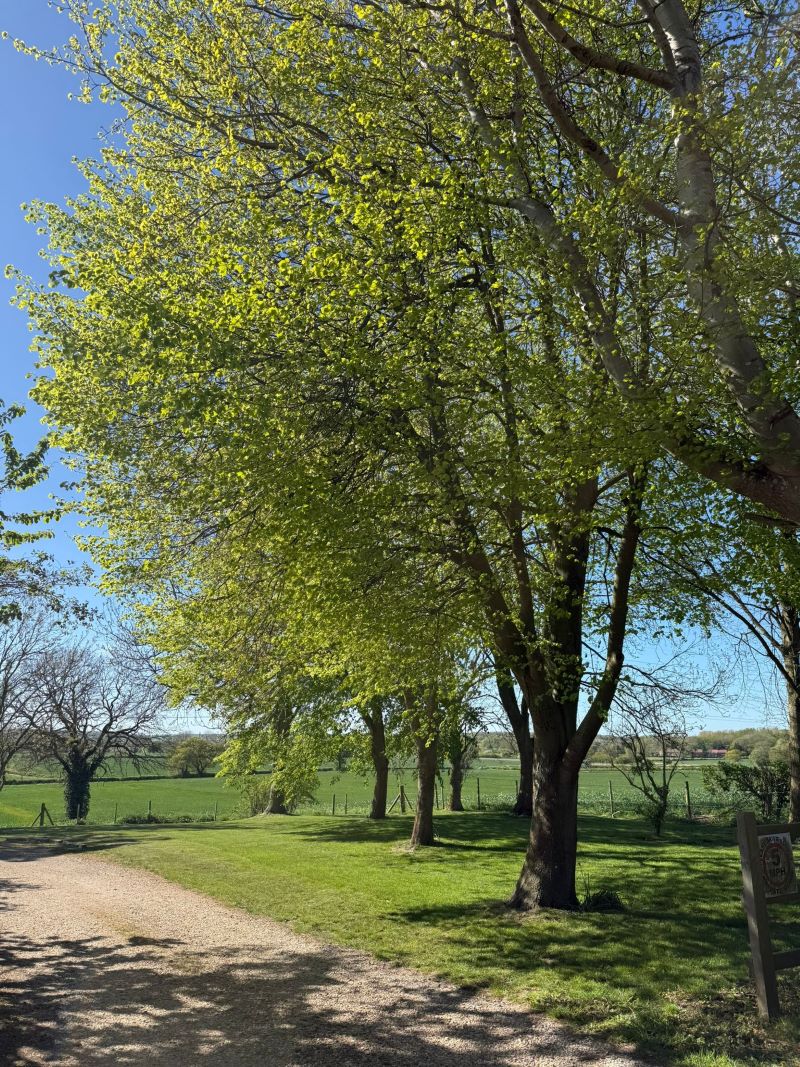 Park Lidgett Farm Cottage, Ossington, Newark, NG23 6NW