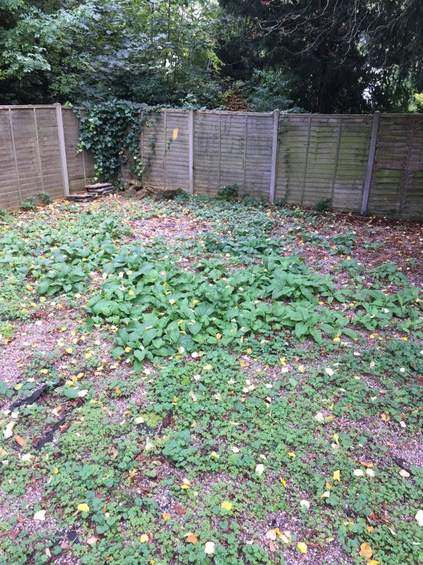 Flats 7a,7b & 7C, 3 Elm Bank, Nottingham, NG3 5AJ