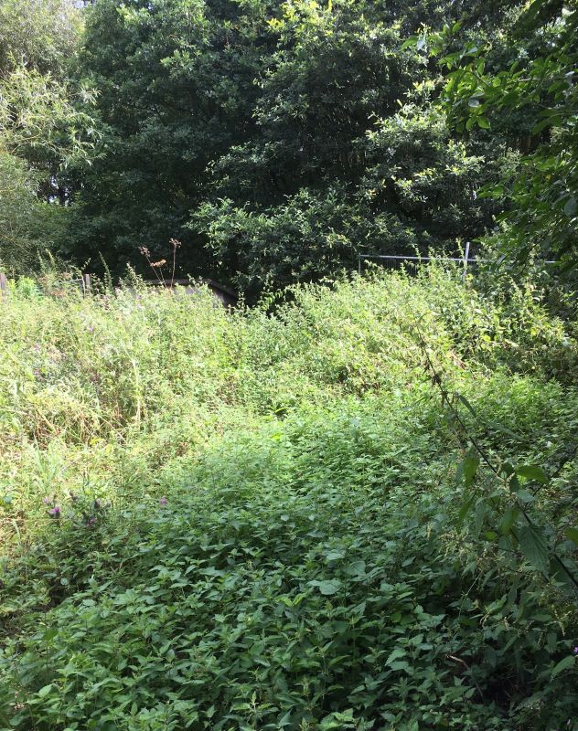 Land Off Over Lane, Belper, Derbyshire, DE56 0HJ