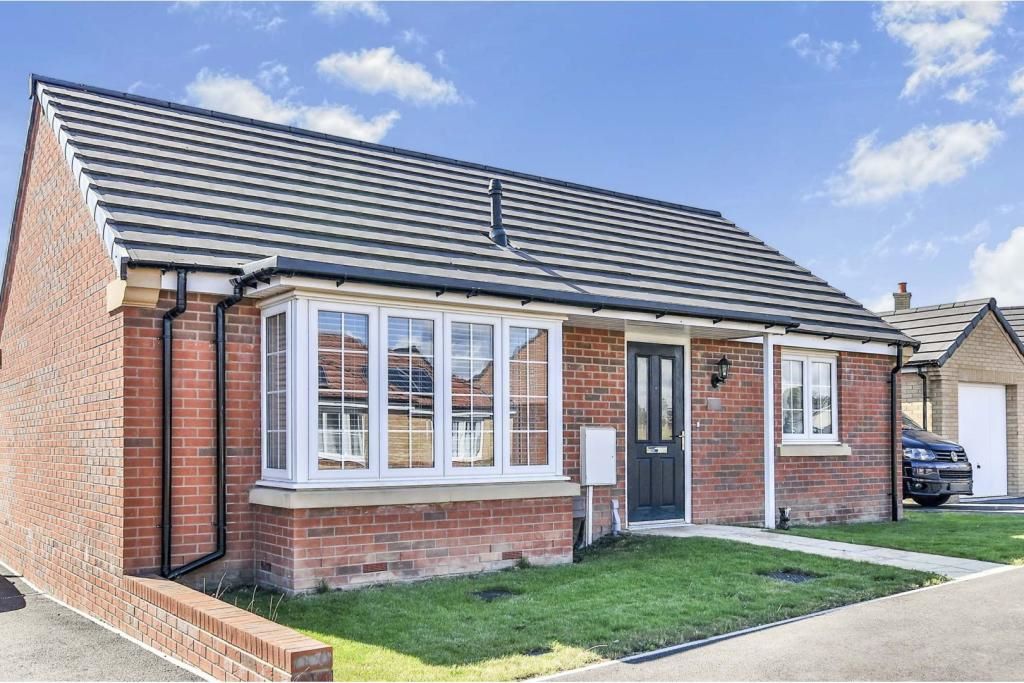 Search Results Online Auctions