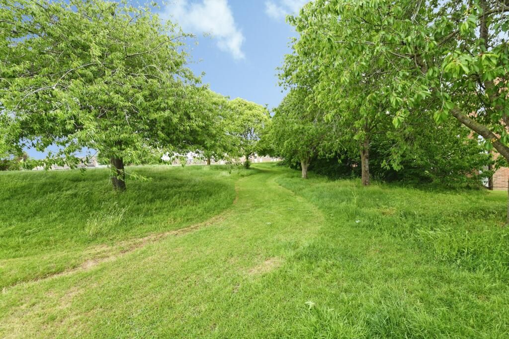 Lot Image