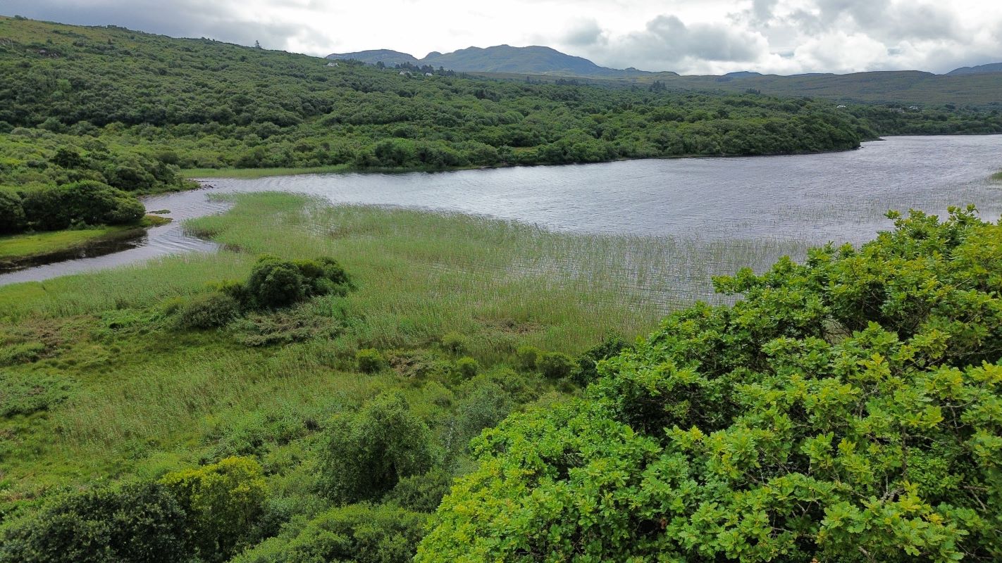 Toame, Carrigart, Co. Donegal, F92 A3W6