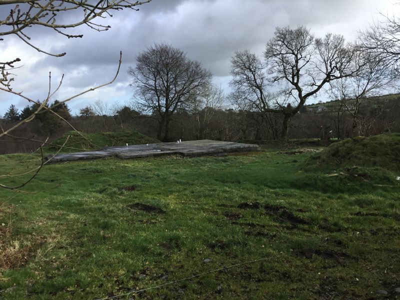 Palmira, Cornakill, Mullagh, Cavan