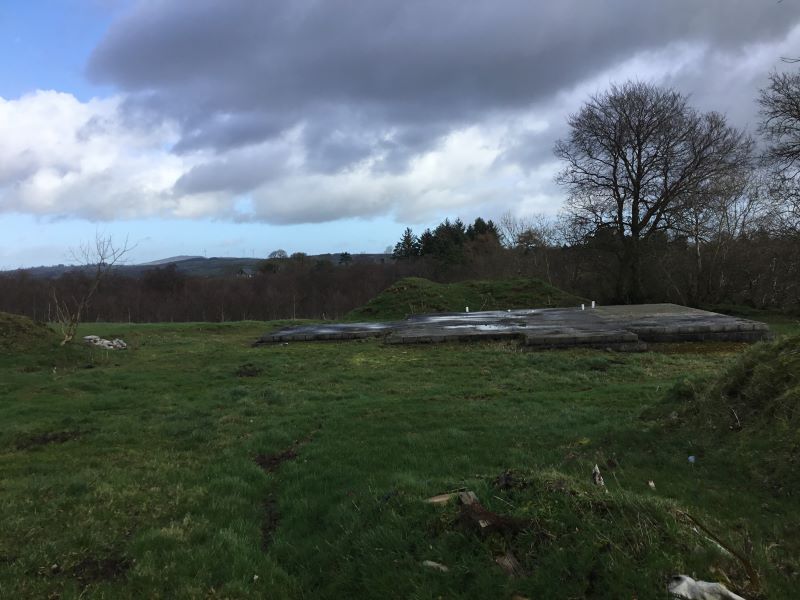 Palmira, Cornakill, Mullagh, Cavan