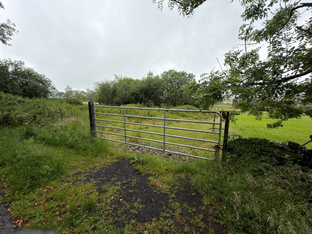 Lot Image
