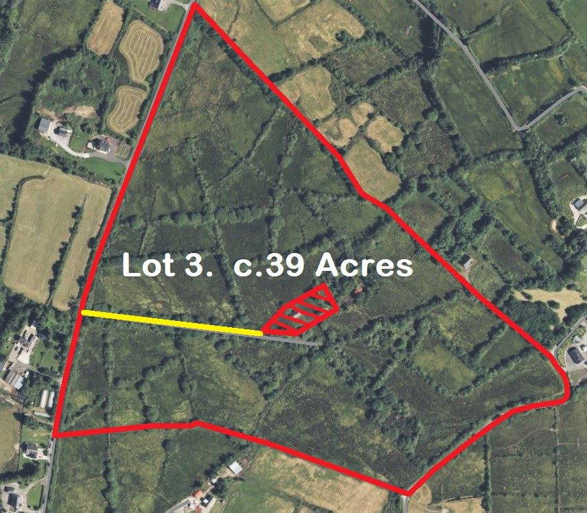 Primary Lot Photo