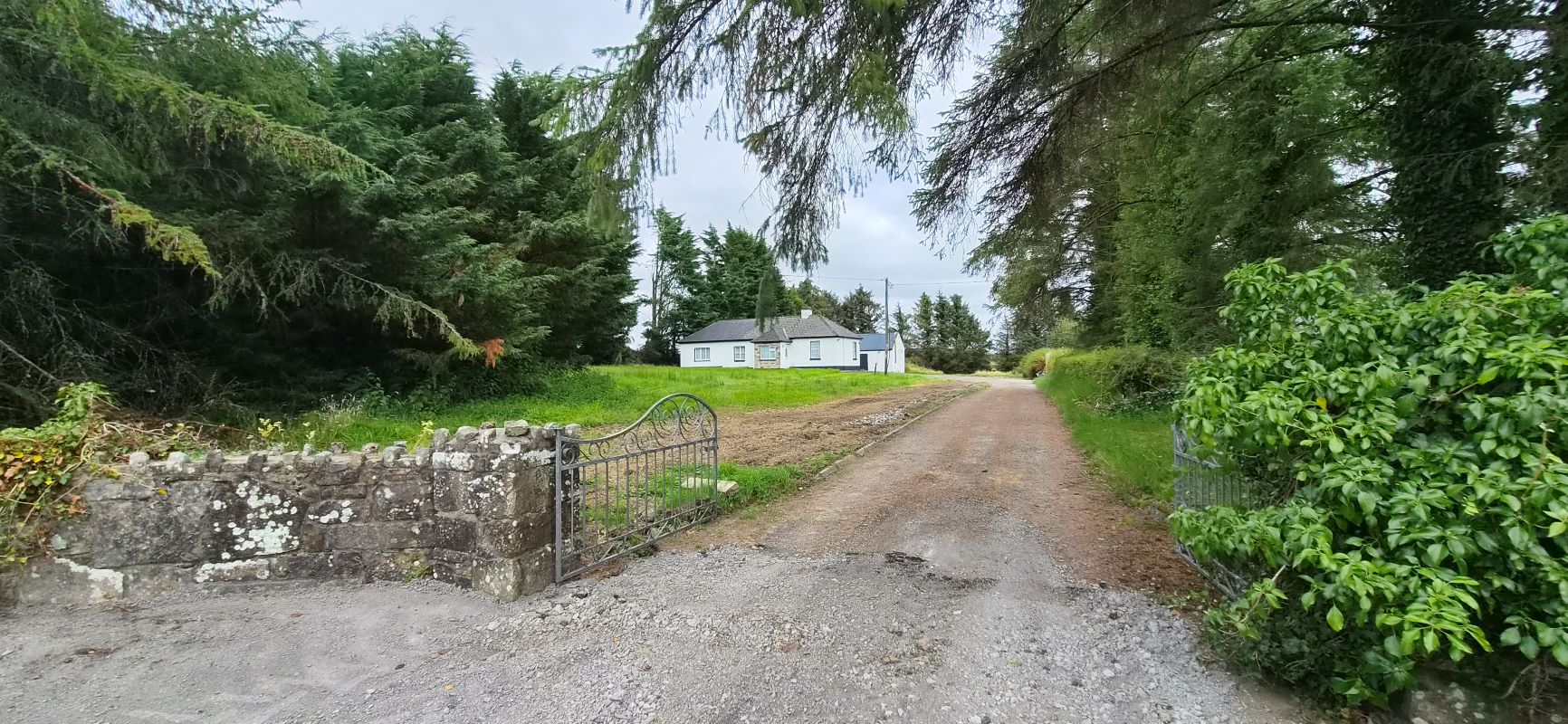 Lot Image