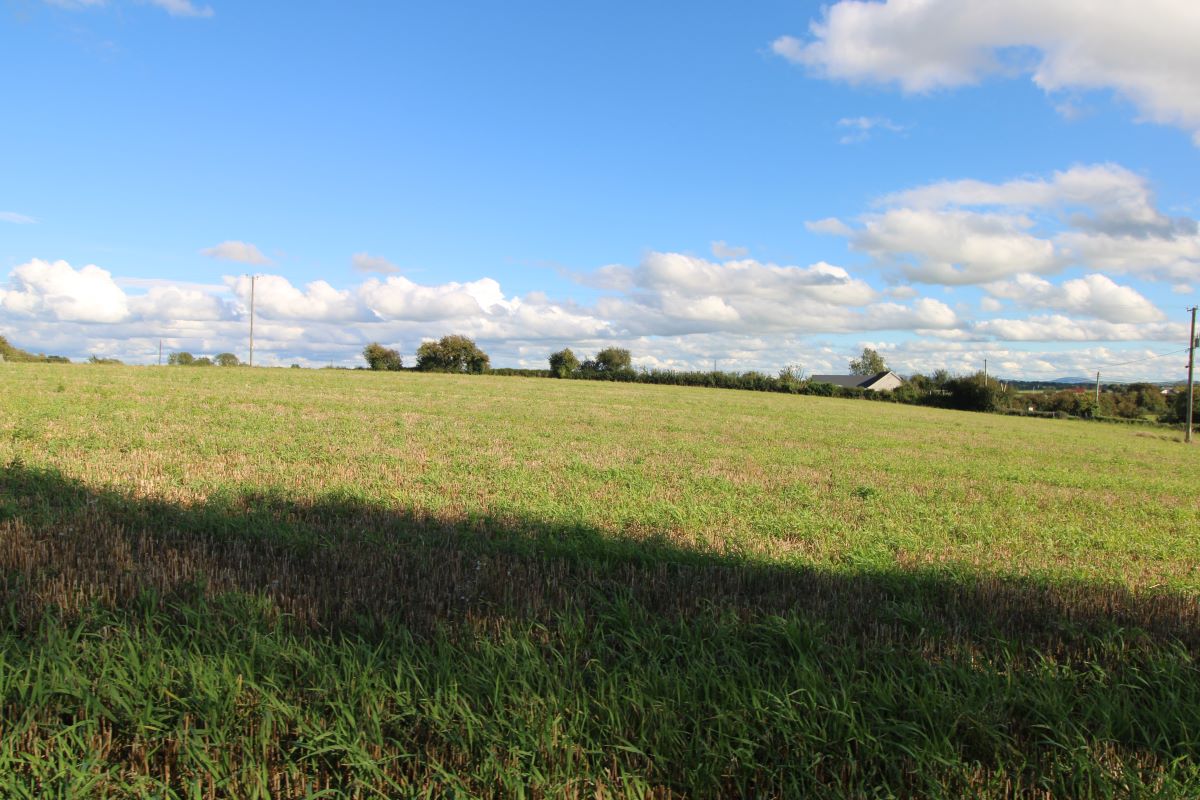 Lot Image