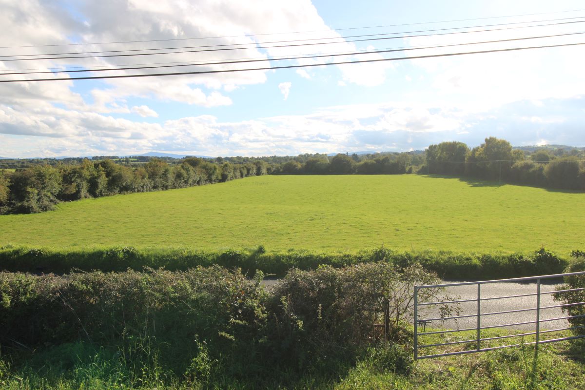 Lot Image