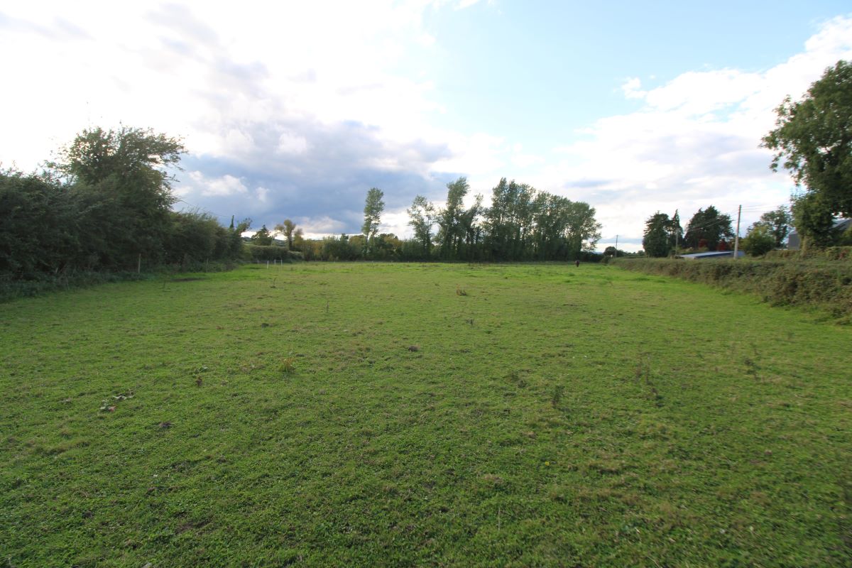 Lot Image