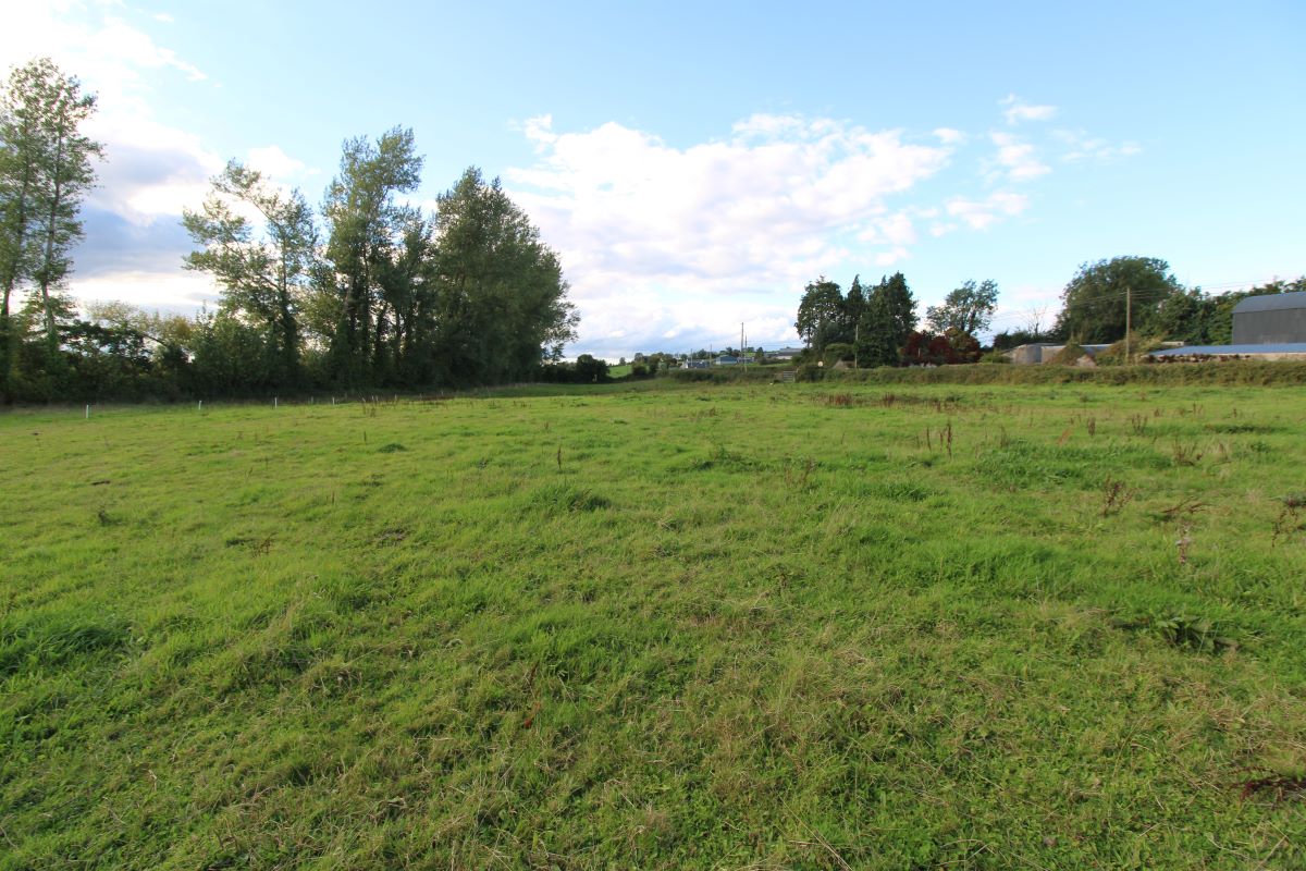 Lot Image