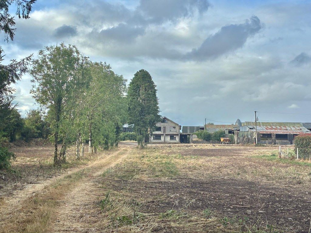 Lot Image