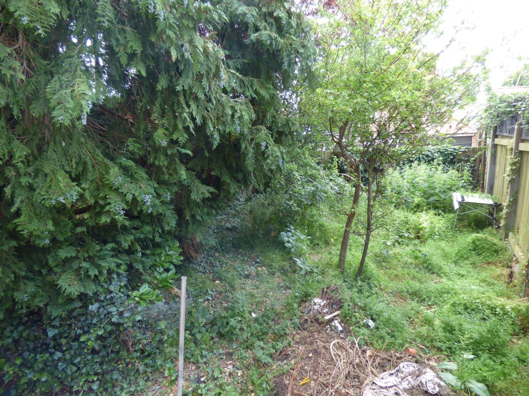 Lot Image