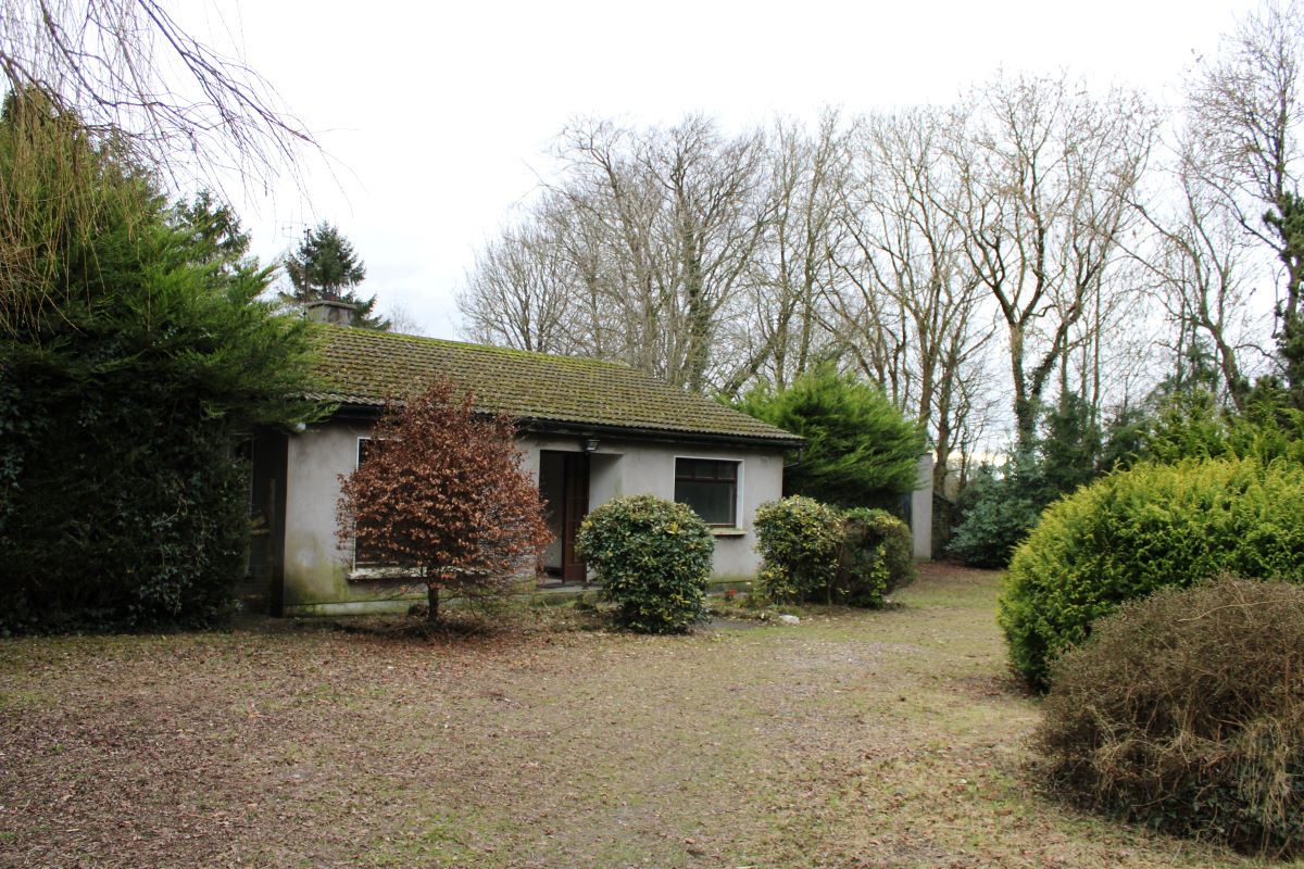 Primary Lot Photo