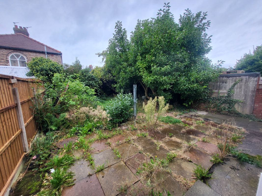 Lot Image