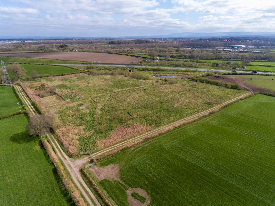Lot Image