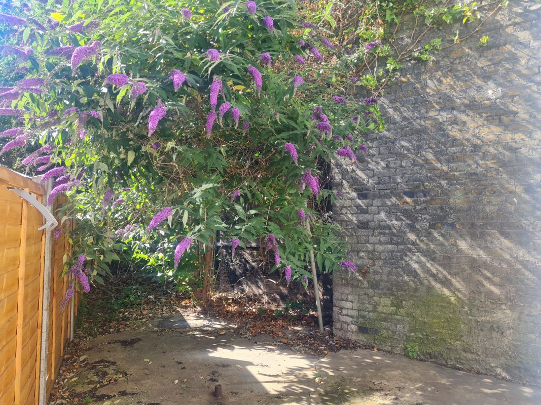 Lot Image
