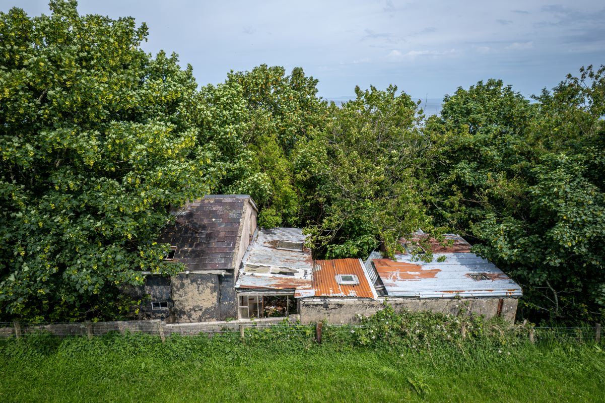Lot Image